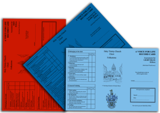 Ribbon Training Cards