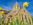 © Tim Parsons - tim@trinitybenefice.co.uk